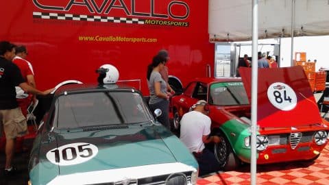 Cavallo & Covelli cars