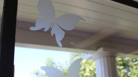 Frosted Vinyl Butterflies for Windows, Homewatch Caregivers