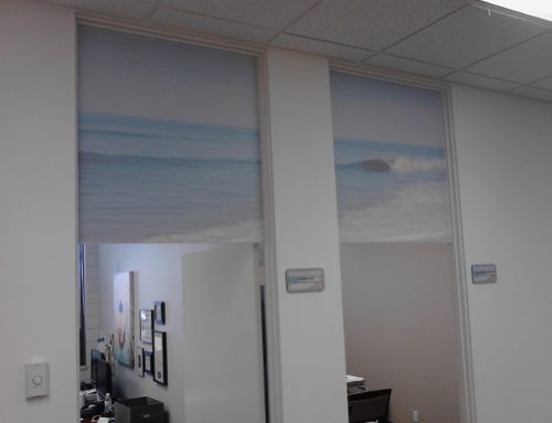 Office Graphics: Walls, Windows & Doors to Rebrand The City of Carlsbad, CA
