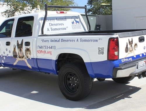 Truck Graphics for RCHS in San Diego, CA