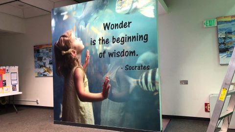 Wall Wrap for School